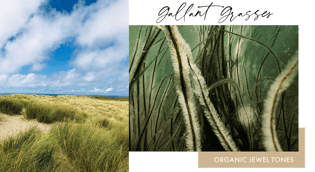 wallcovering-collection-GallantGrasses-975x533px
