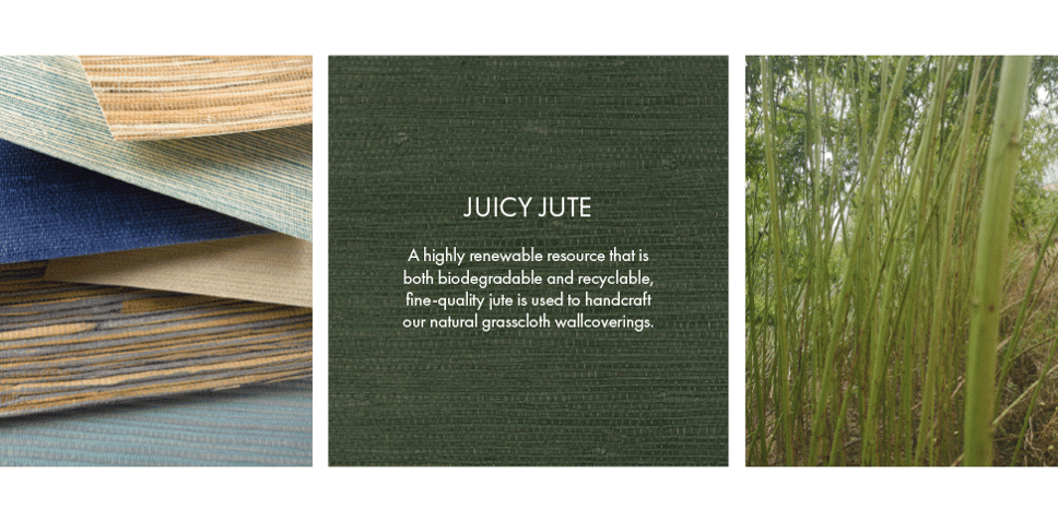 How-Its-Made-What-Is-JuicyJute