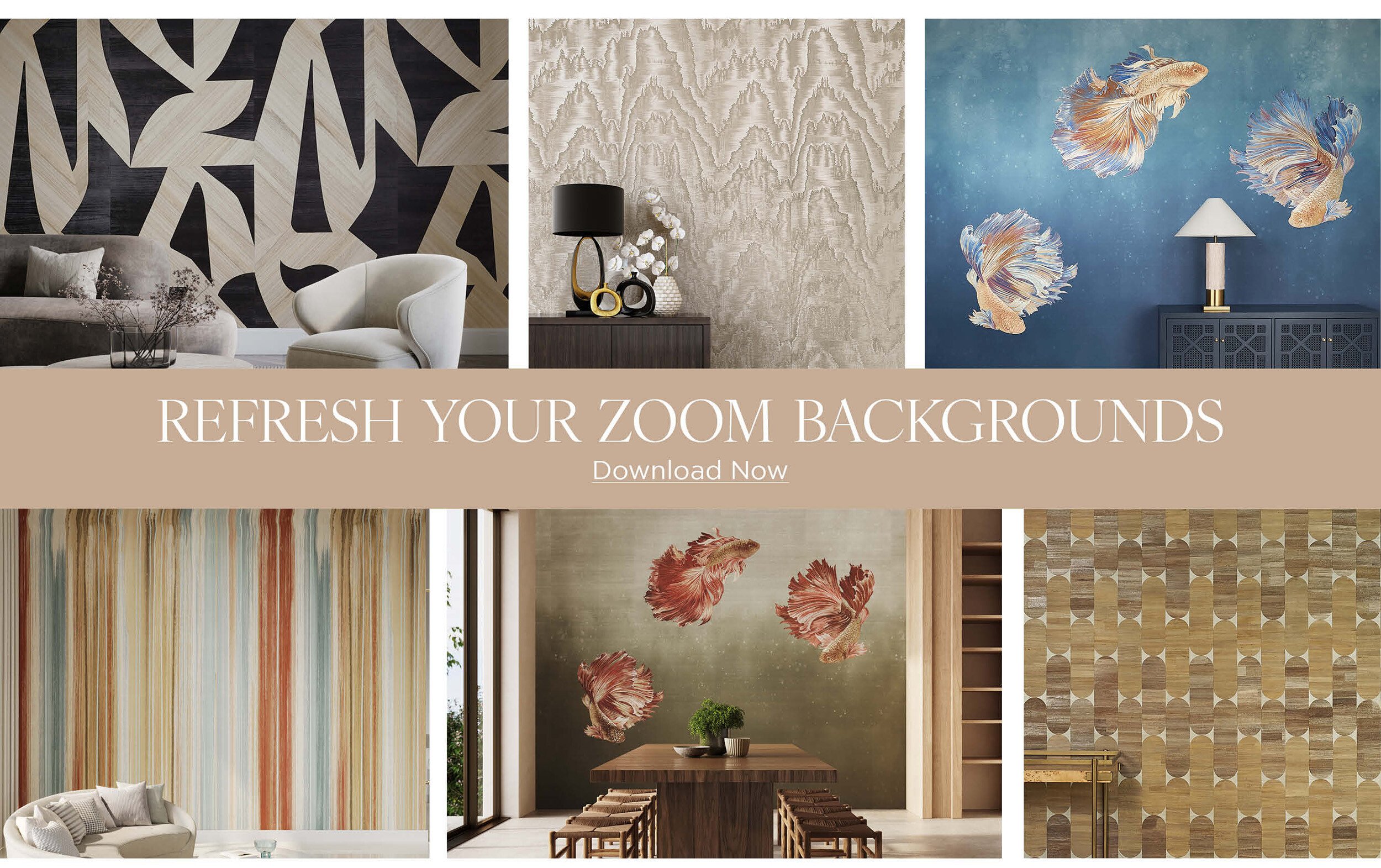 JAN25_E01_ZoomBG_Tile