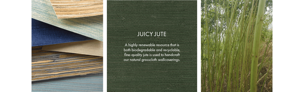 JuicyJute-1