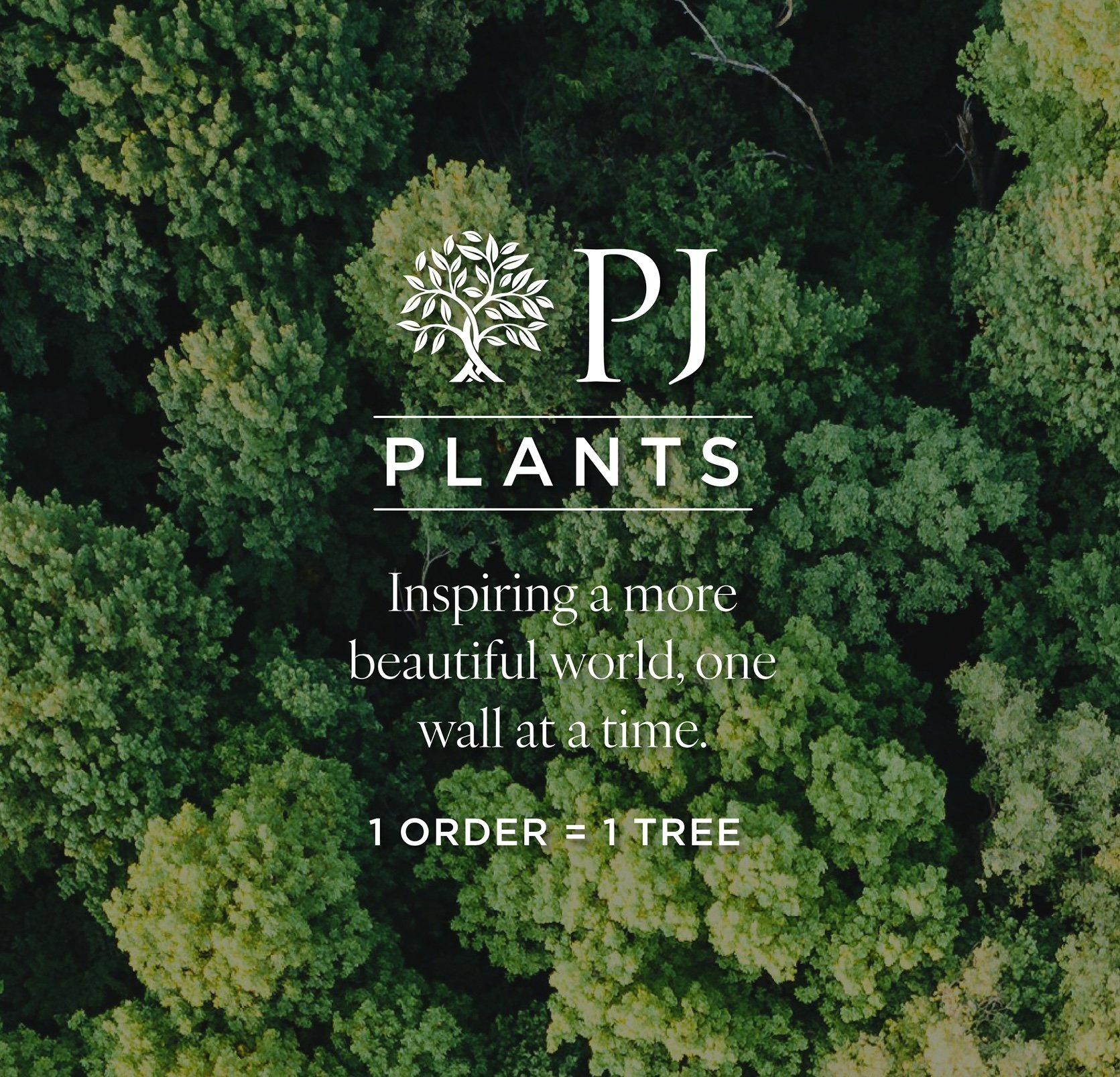 PjPlants_Zoom_Chicklet