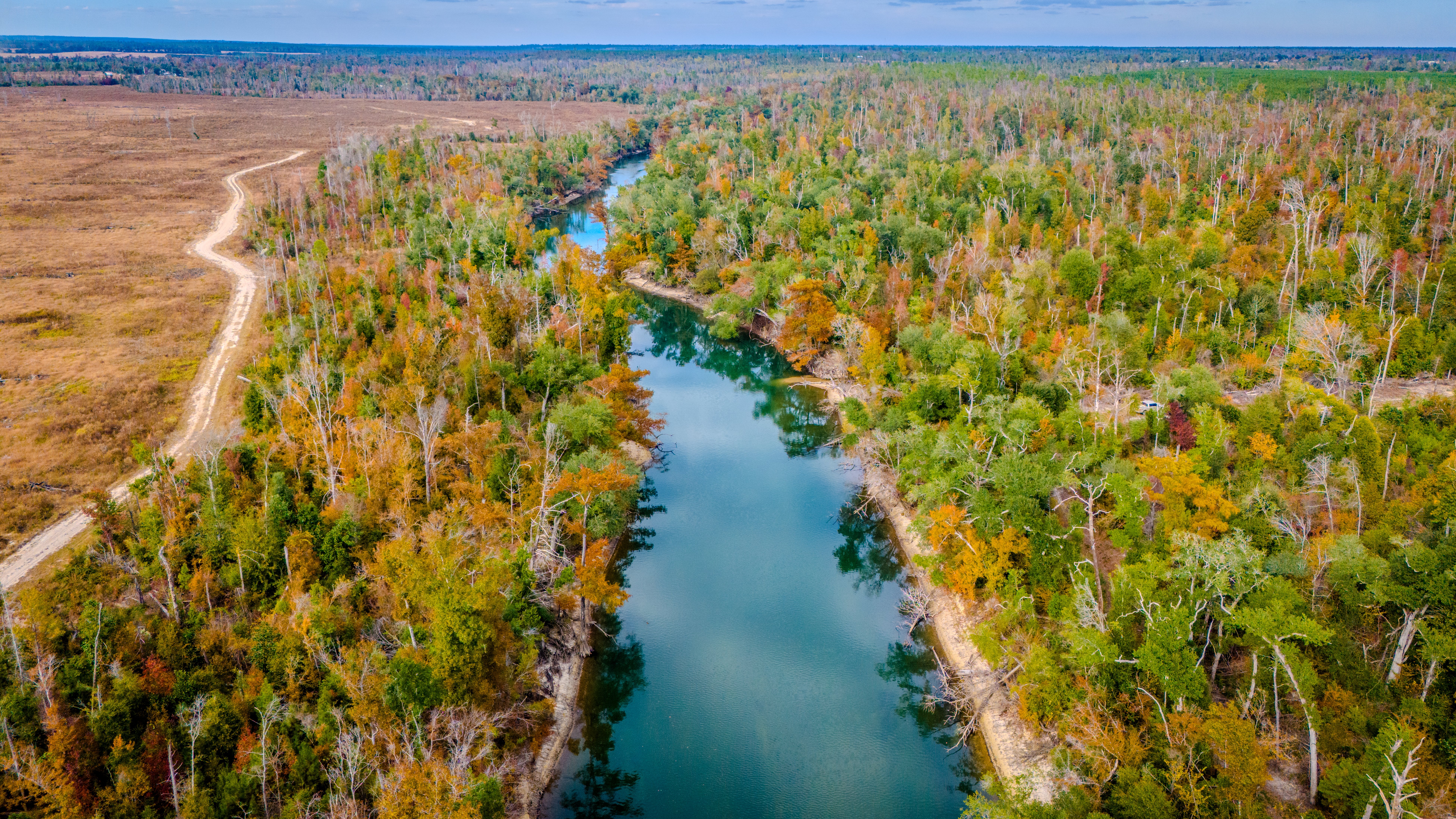 REF1076_American Southeast Priority Region_AL.FL.GA.MS.NC.SC.AR.LA (1)