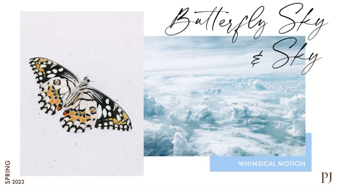 Phillip_Jeffries_Wallcovering_Butterfly_Sky