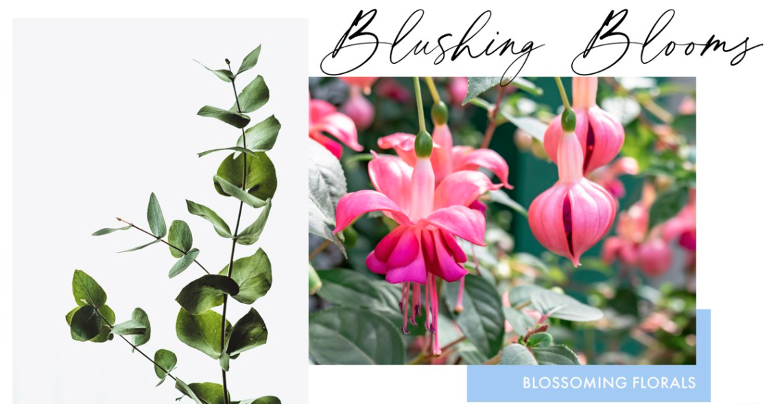Phillip_Jeffries_Wallcovering_Blushing_Blooms