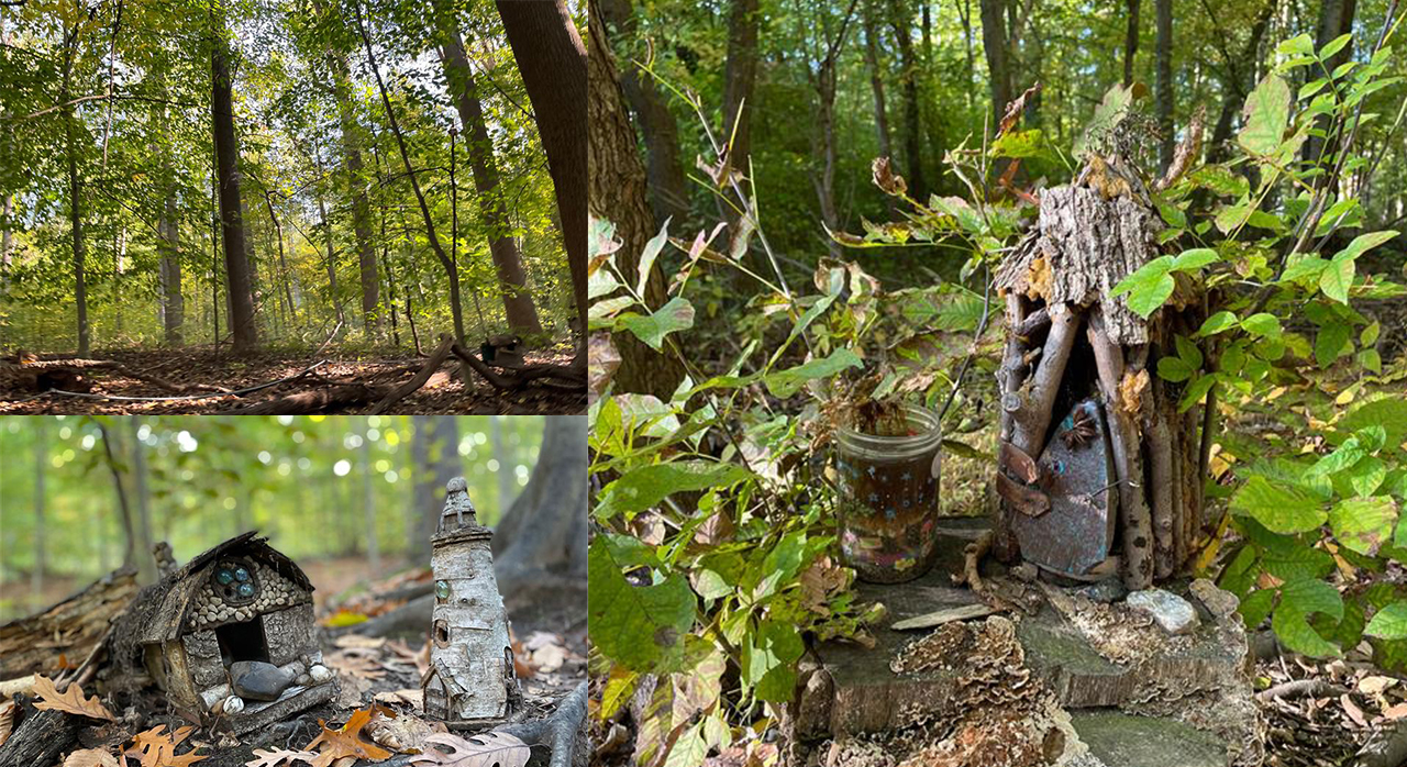 Phillip_Jeffries_NJ_Fairy_Trail_Hike_Collage