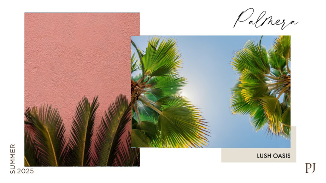 palmerainspo