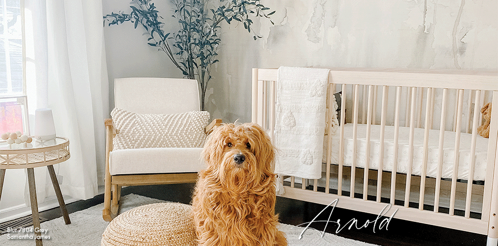 A Perfect Pairing: Pets & Phillip Jeffries Wallcovering