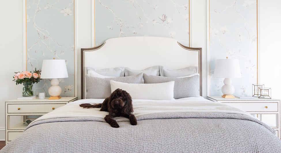 Our Favorite #PJPets With Chic Wallcovering