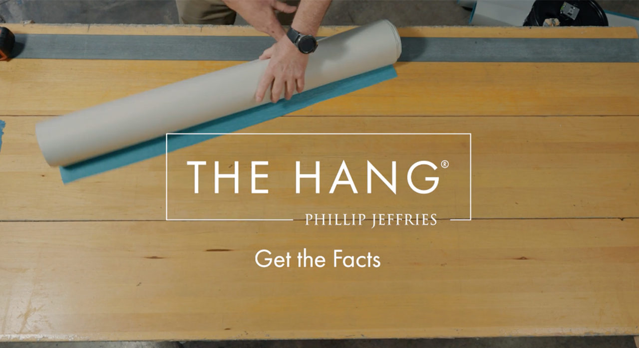 Introducing THE HANG® - Watch 1st Video: Get the Facts